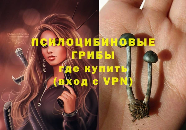 дурь Иннополис