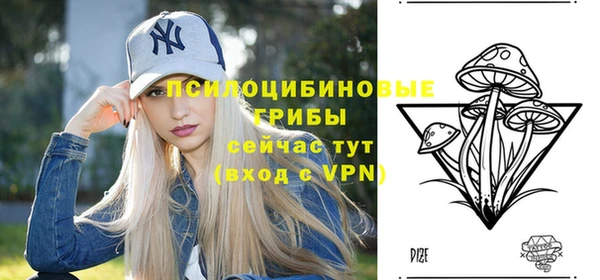 кристаллы Инта