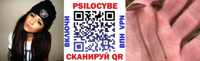 Купить  Лянтор  Галлюциногенные грибы Psilocybe 